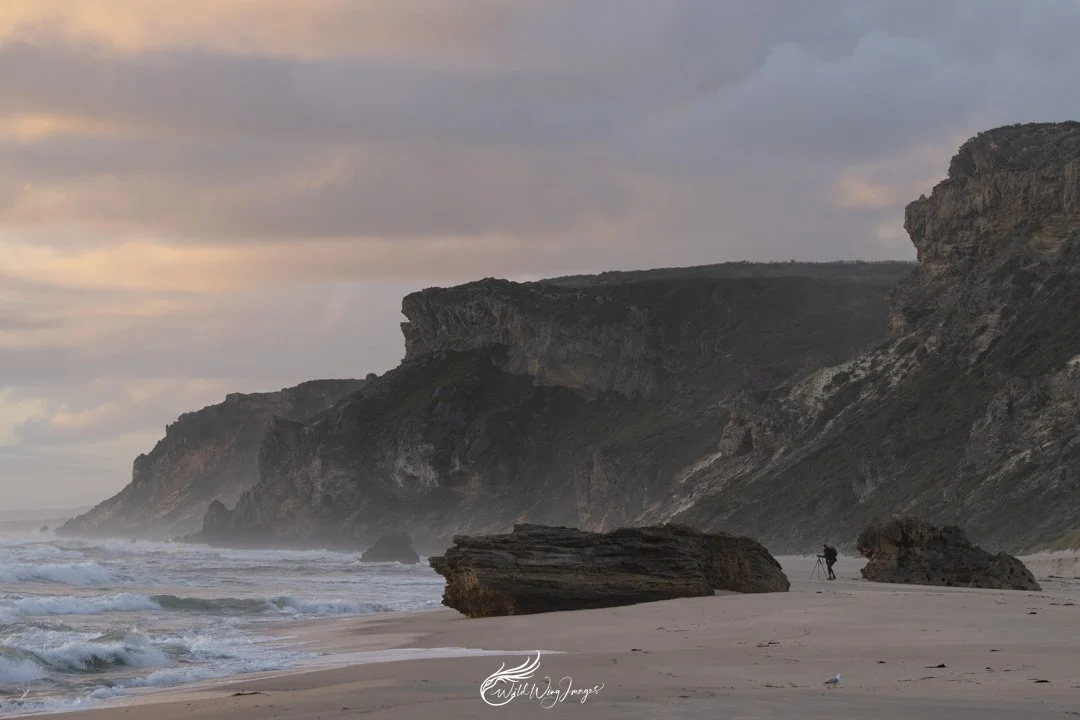 Jodie Photographing the Landscape - Mel Zappelli