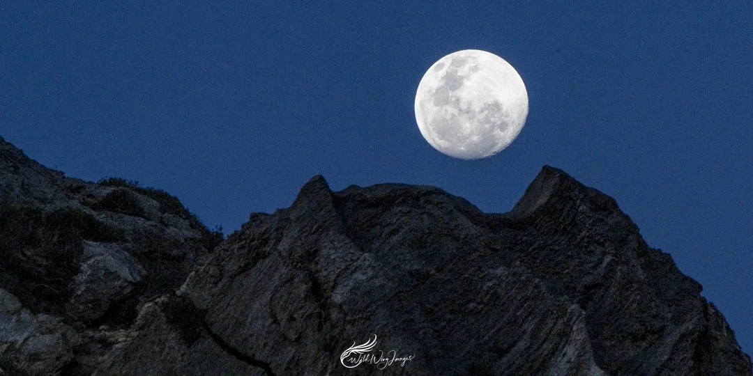 October Full Moon Rising - Mel Zappelli