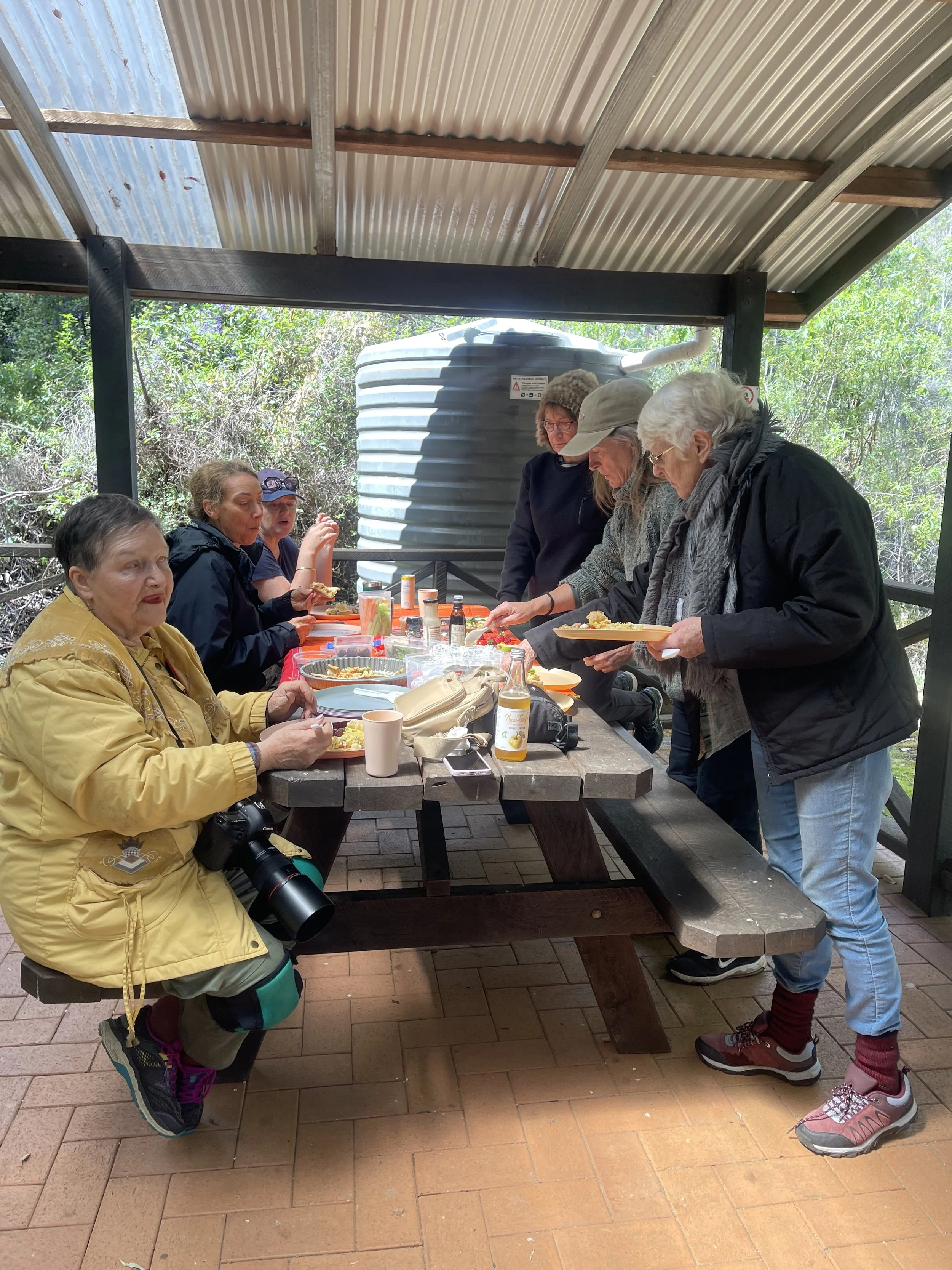 Picnic Lunch out in the Field - Mel Zappelli