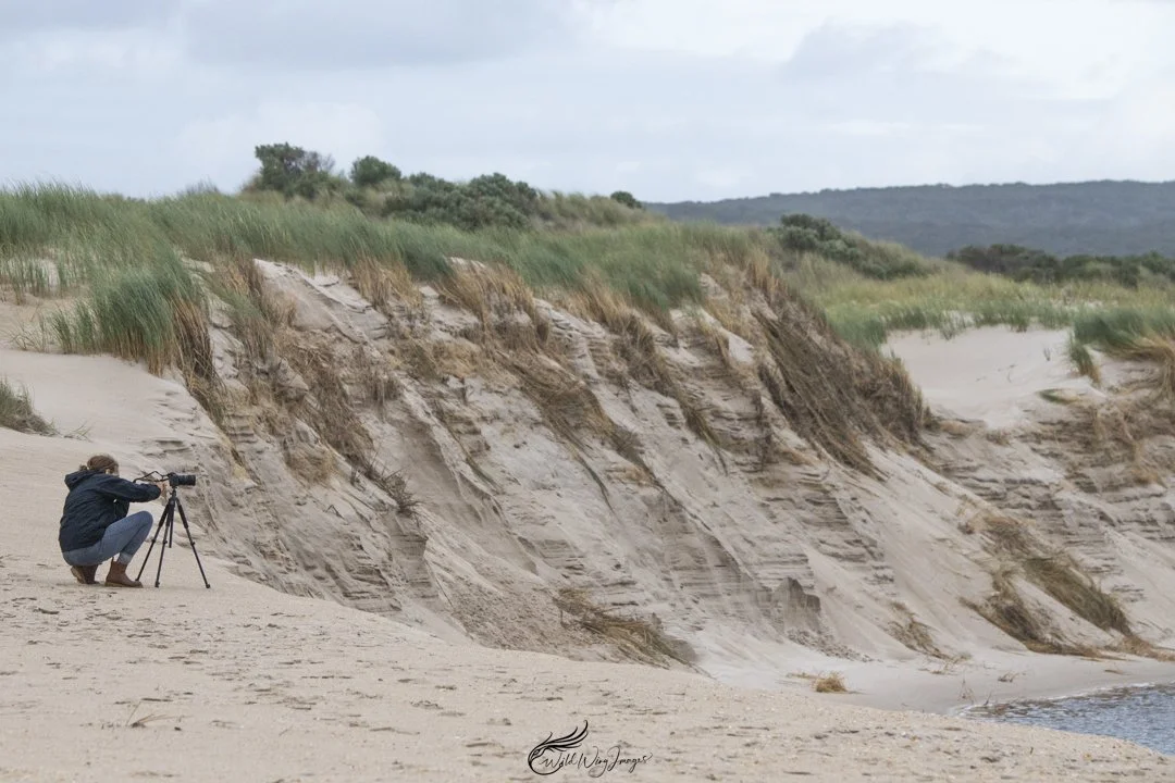 Jodie in the Landscape - Mel Zappelli