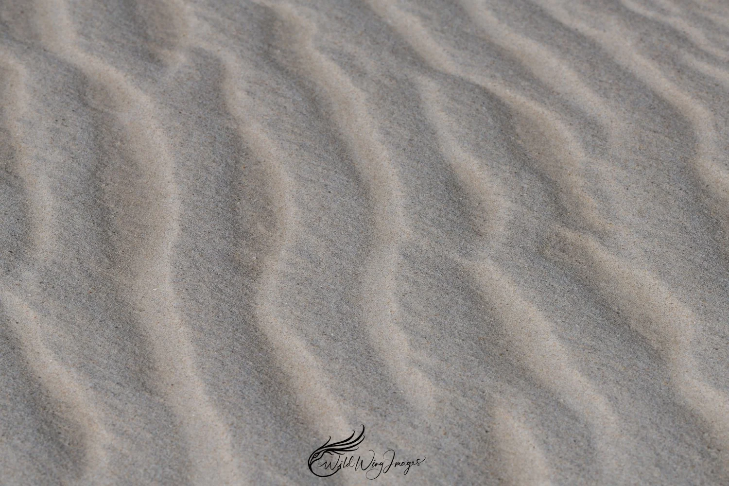 Sand Ripples - Mel Zappelli