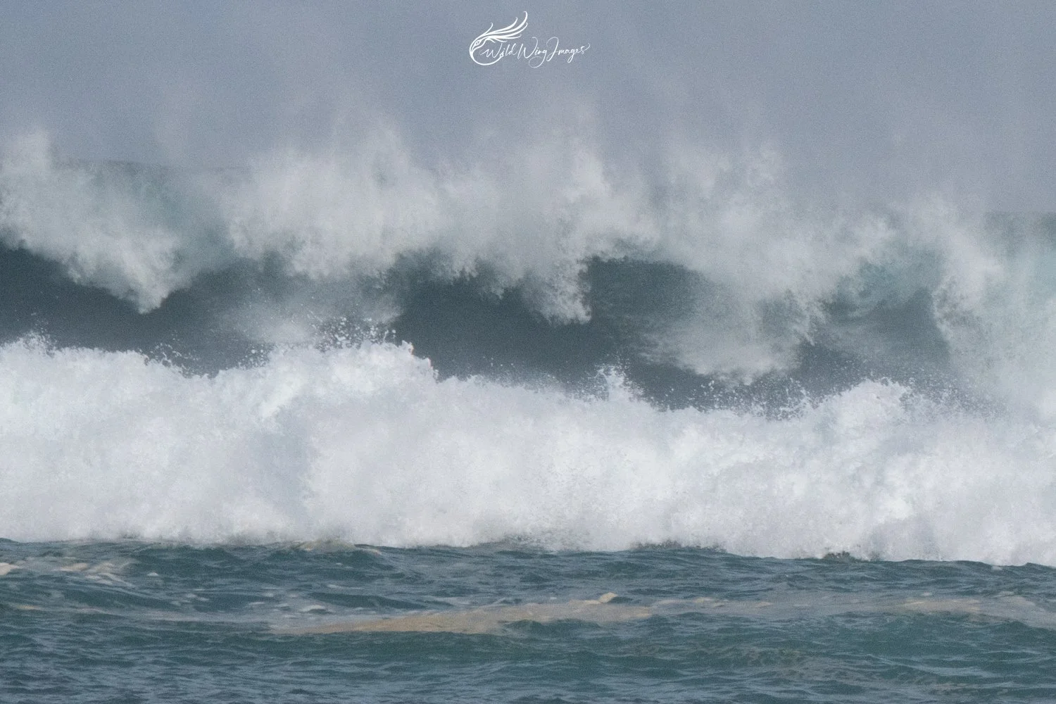 Southern Ocean - Mel Zappelli