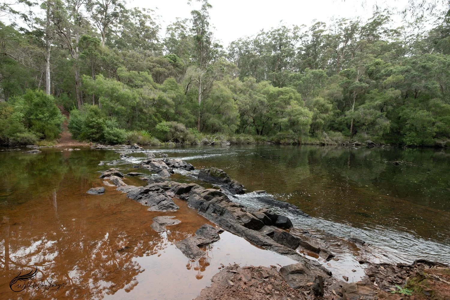 Warren River Crossing - Mel Zappelli