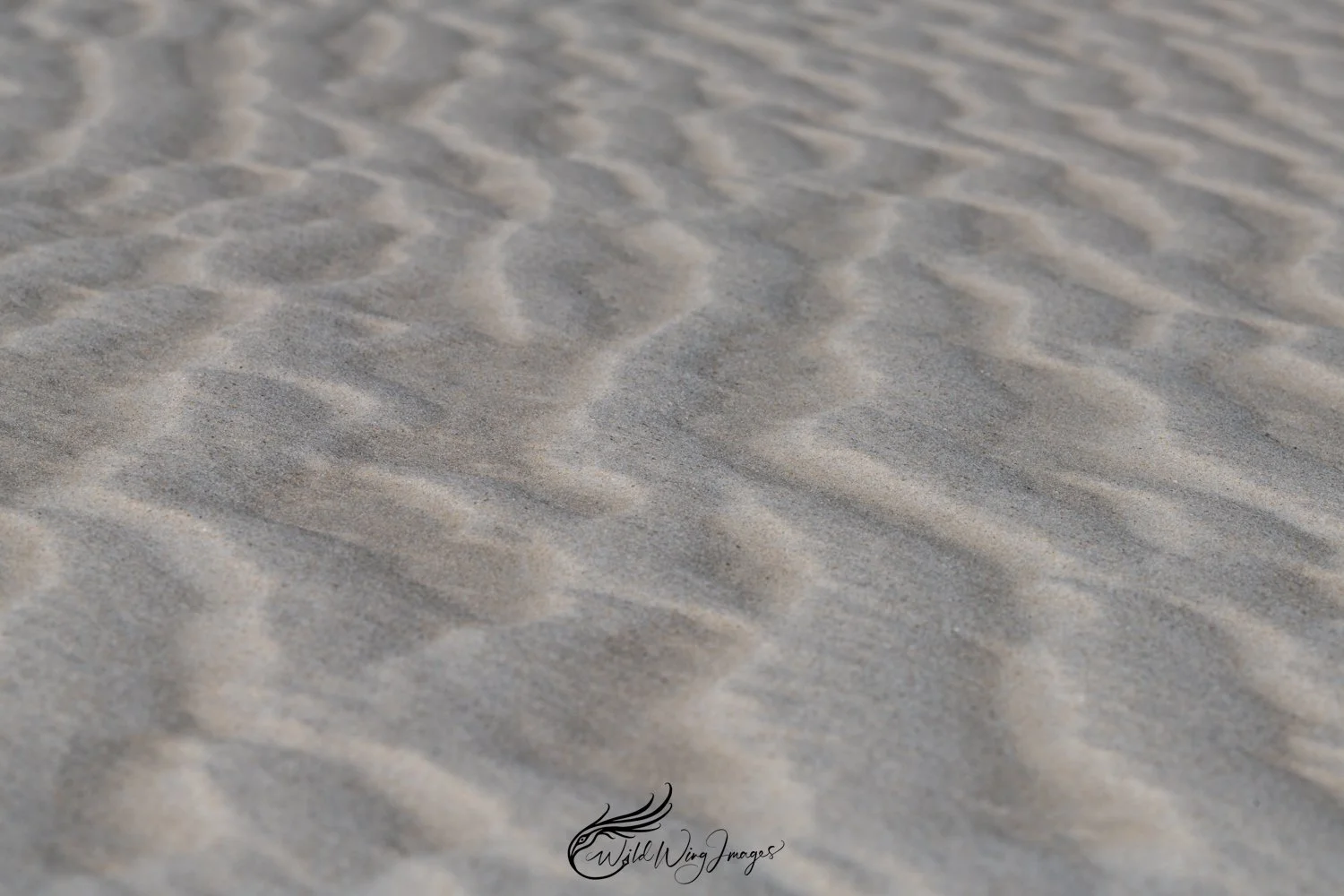 Sand Ripples - Mel Zappelli