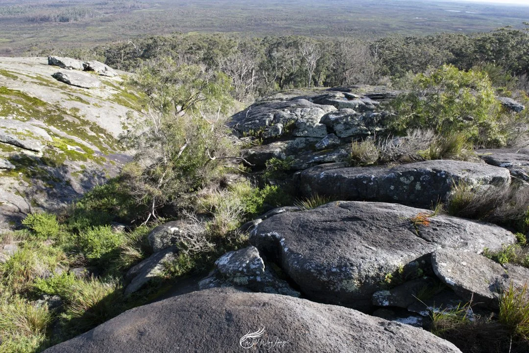 Mt Chudalup - Mel Zappelli