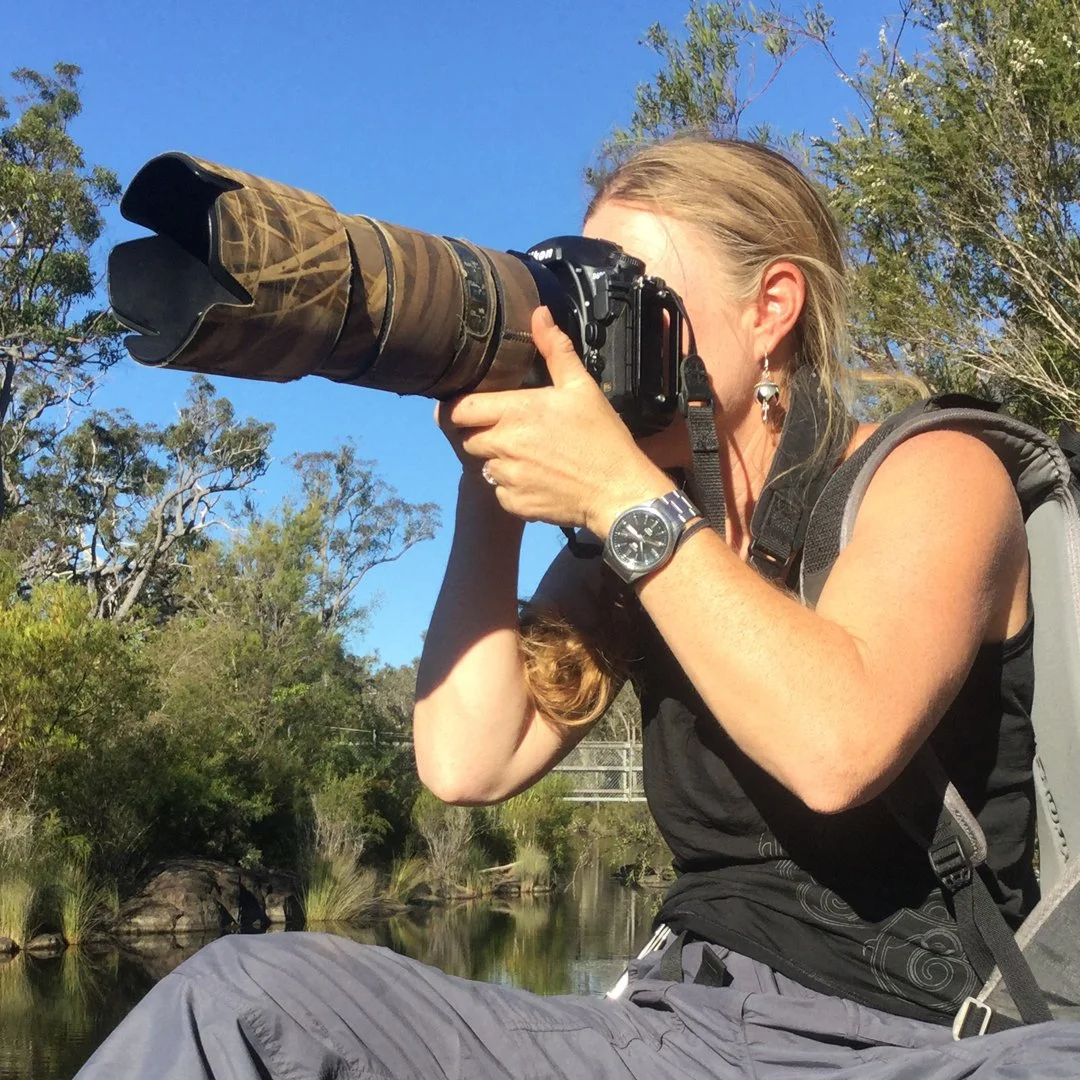 2026 Wild Wing Images Photography and Storytelling - Camp Meerup