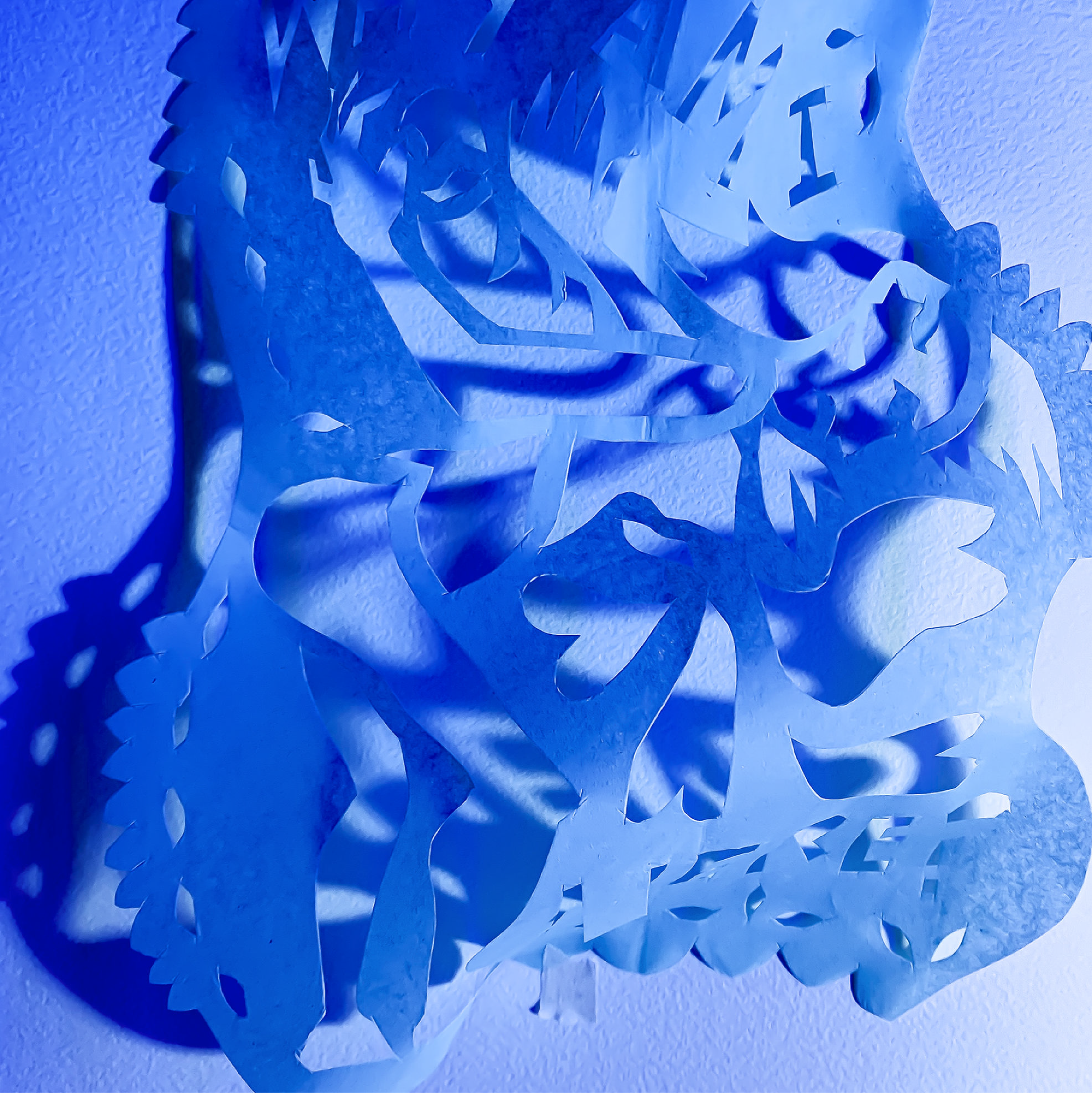 Engorgement, Digital Image of Papel Picado 
