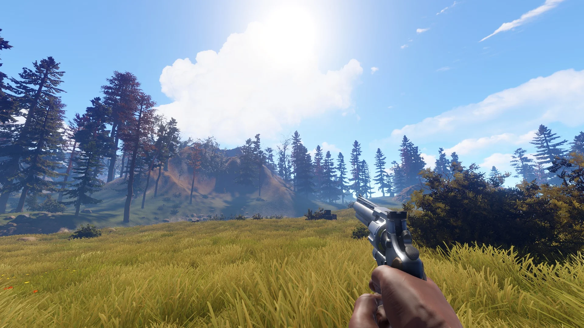 Guns in Rust — Rustafied