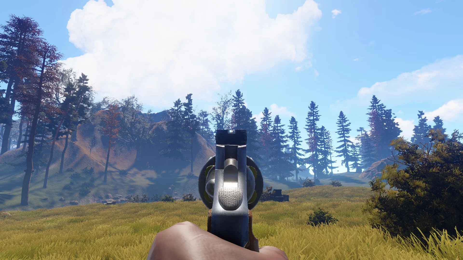 Guns in Rust — Rustafied