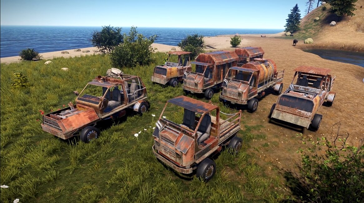 image-asset.jpg
