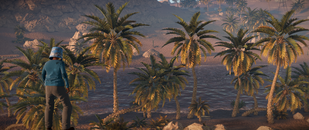 New palm trees