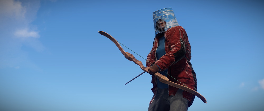 New Bow model