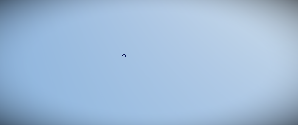 700580_20210609164543_1.png