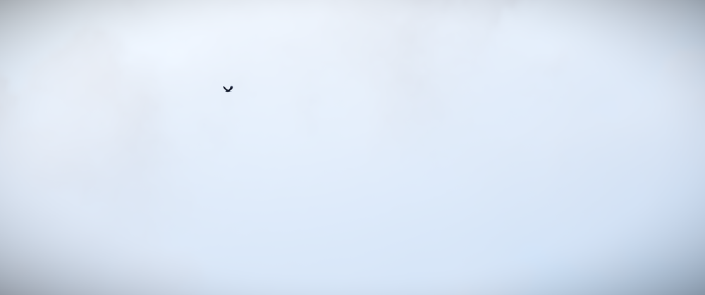 700580_20210630162533_1.png