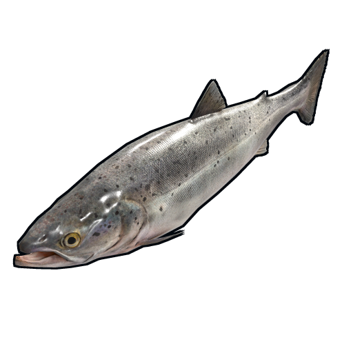 fish.salmon.png