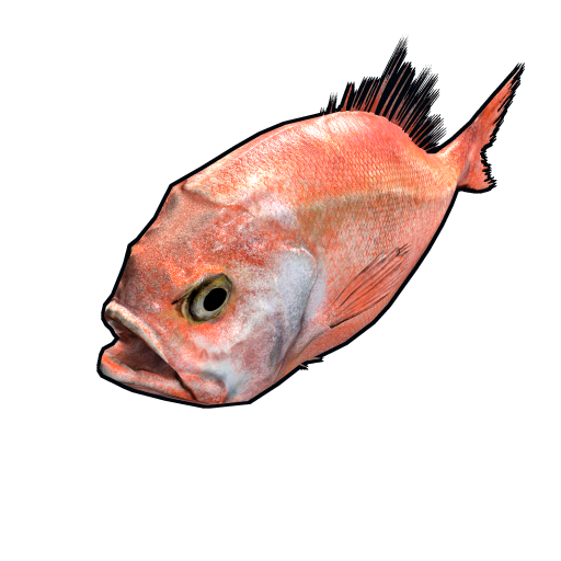 fish.orangeroughy.png