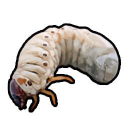 grub.png