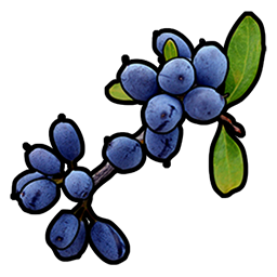 blue.berry.png
