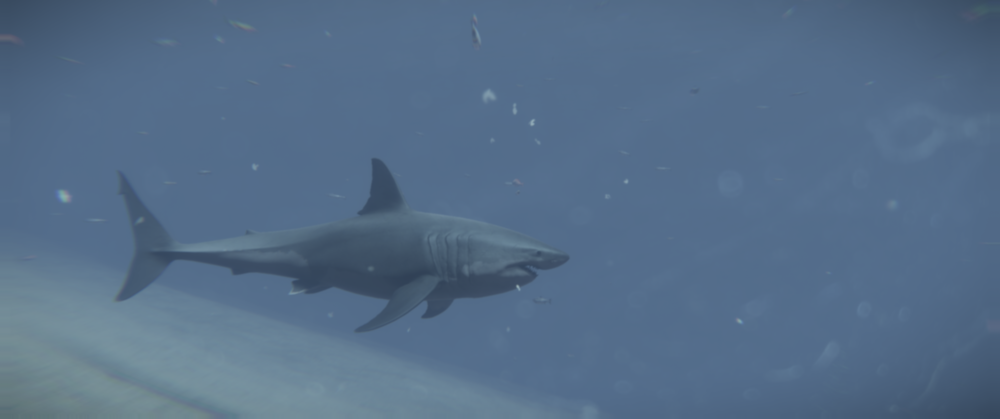 700580_20210804160136_1.png
