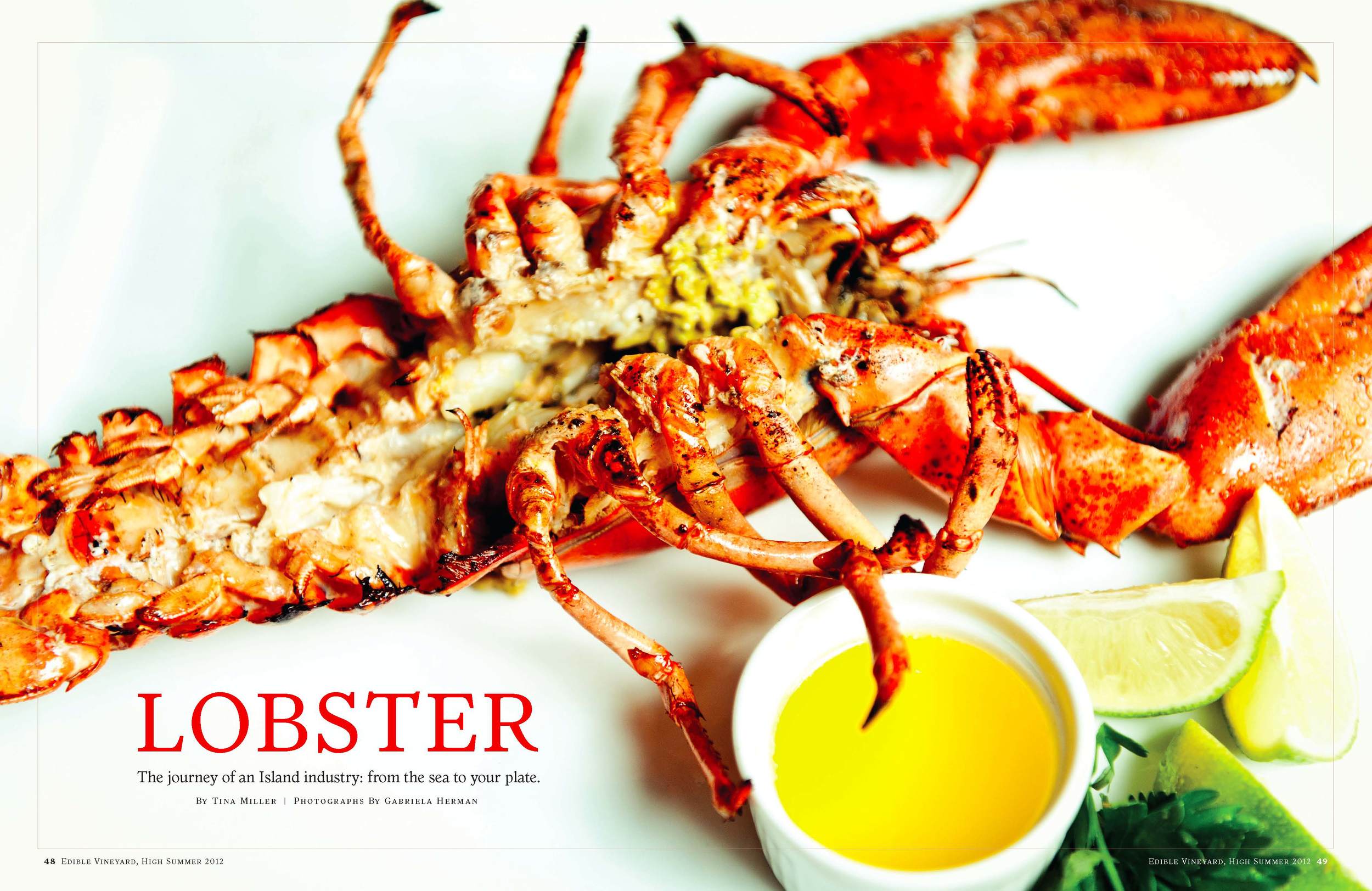 Lobster feature opening spread