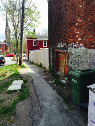Laneway Graffiti (Image Credit: Mia Feng)