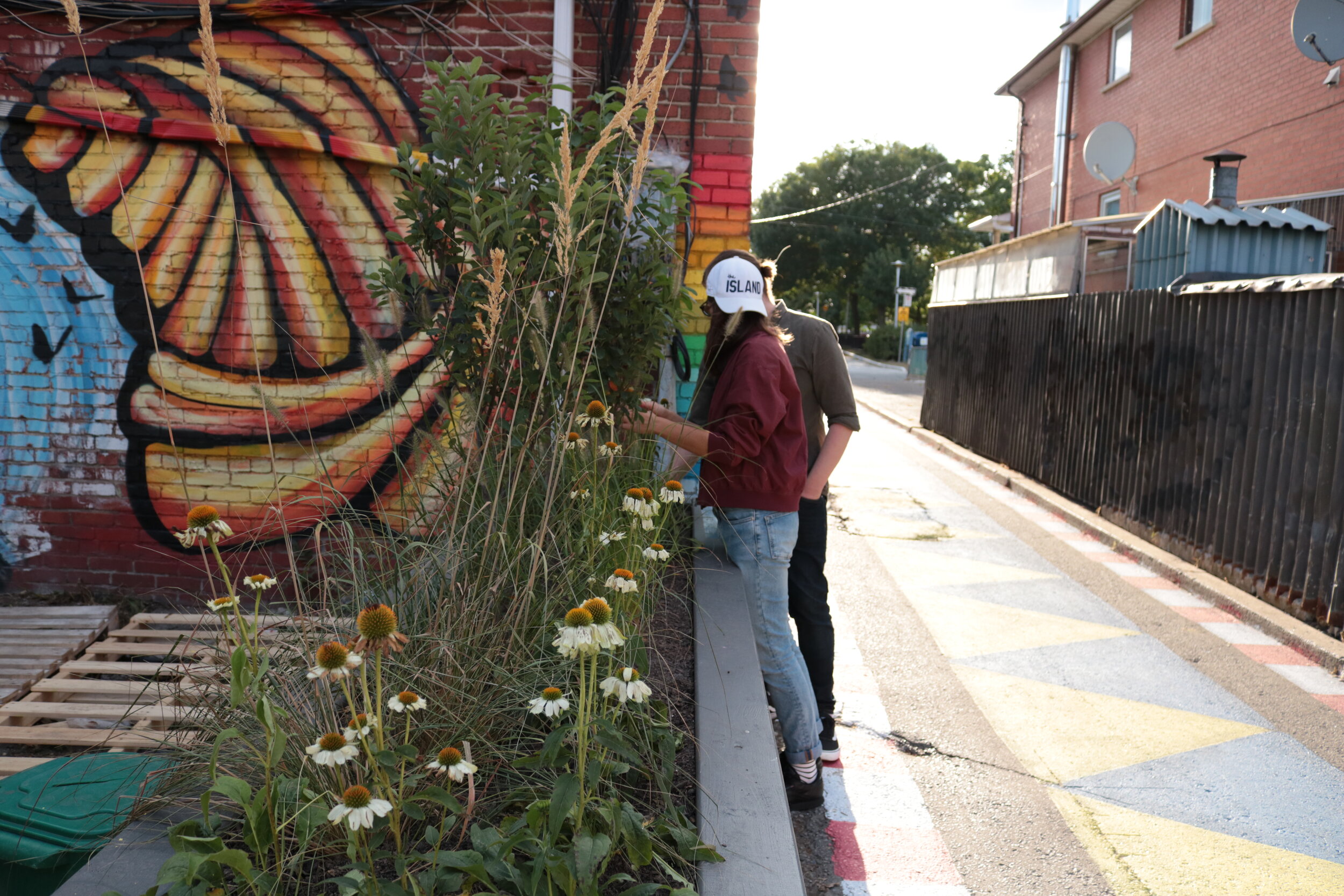 Light Up the Laneways Bloordale_CR Katrina Afonso The Laneway Project.JPG