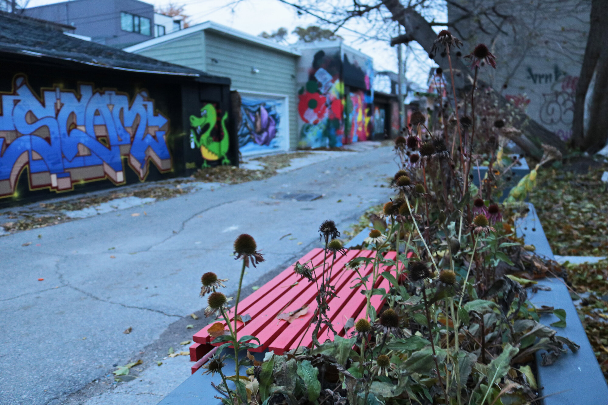 Ossington Murals 2019 CR Katrina Afonso 098.jpg