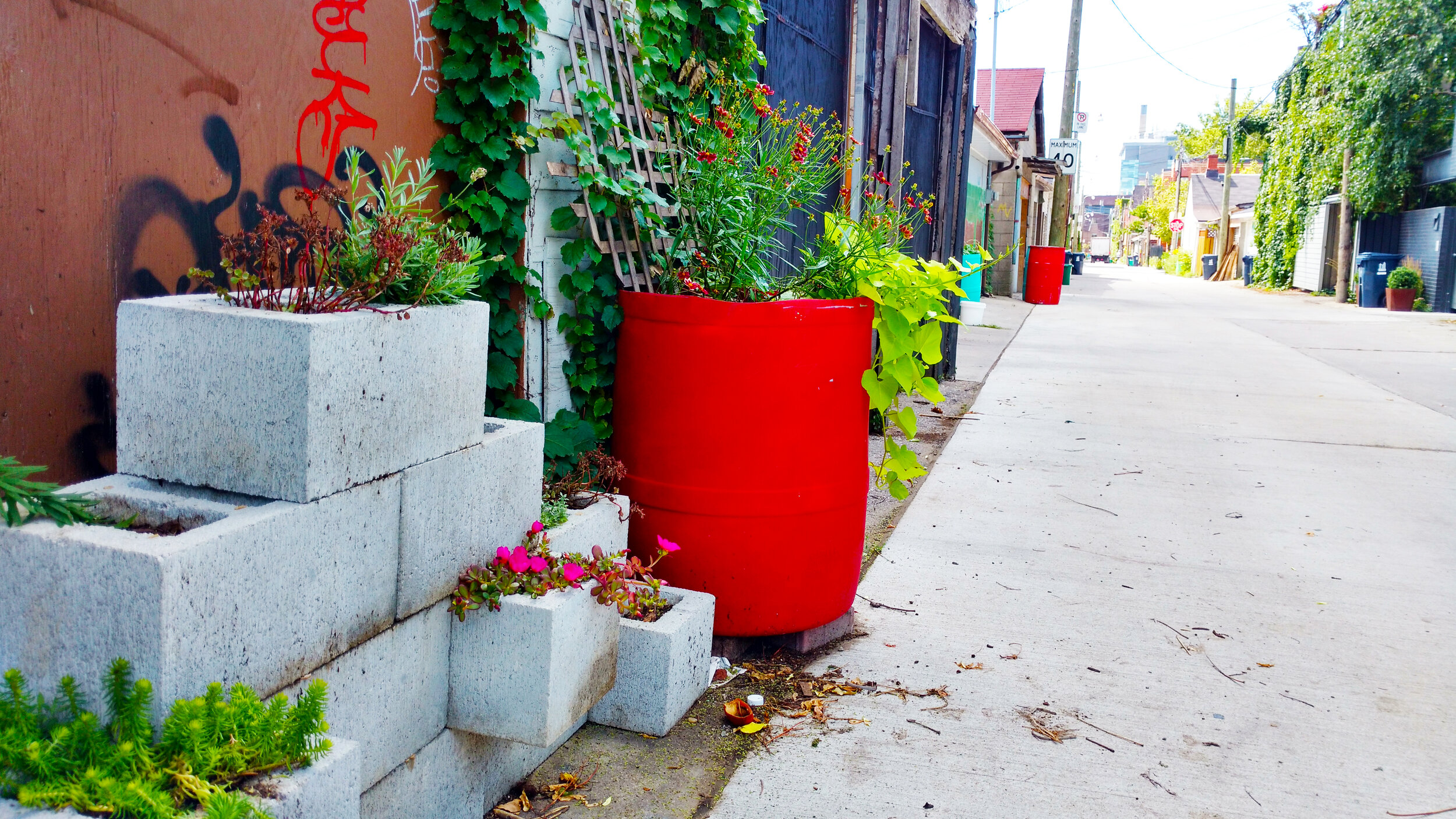  Standing pots are a flexible greening option that works well in tight spaces and that can be moved throughout the year to address seasonal challenges.  Location: Croft Street, Toronto  Image credit: Katrina Afonso, the Laneway Project 