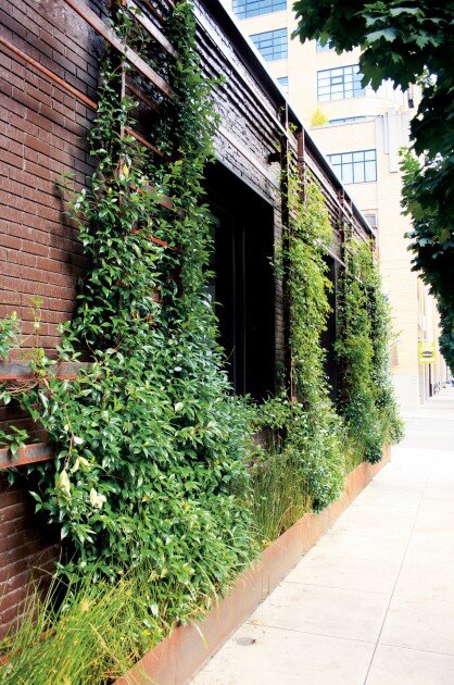  A trellis made of wire, metal rods or wood can provide additional support and visual interest to your climbing vegetation.  Location: Portland, Oregon  Image credit: Urban Green-Blue Grids 