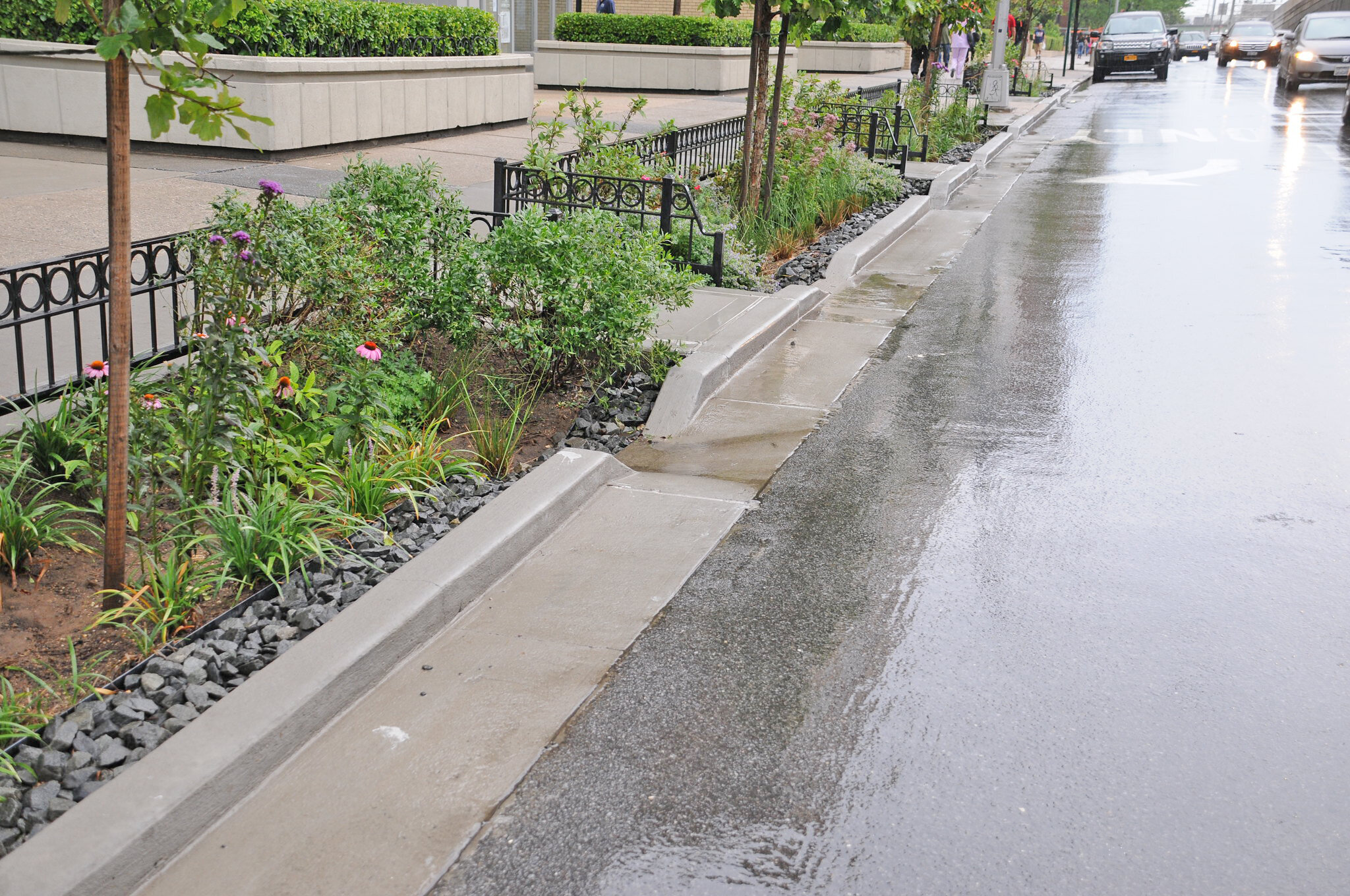  Rain gardens make use of runoff from the adjacent right-of-way, creating lush greenery, while increasing stormwater storage.  Location:&nbsp; Rego Park, Queens, NYC  Image credit: NYC DEP 