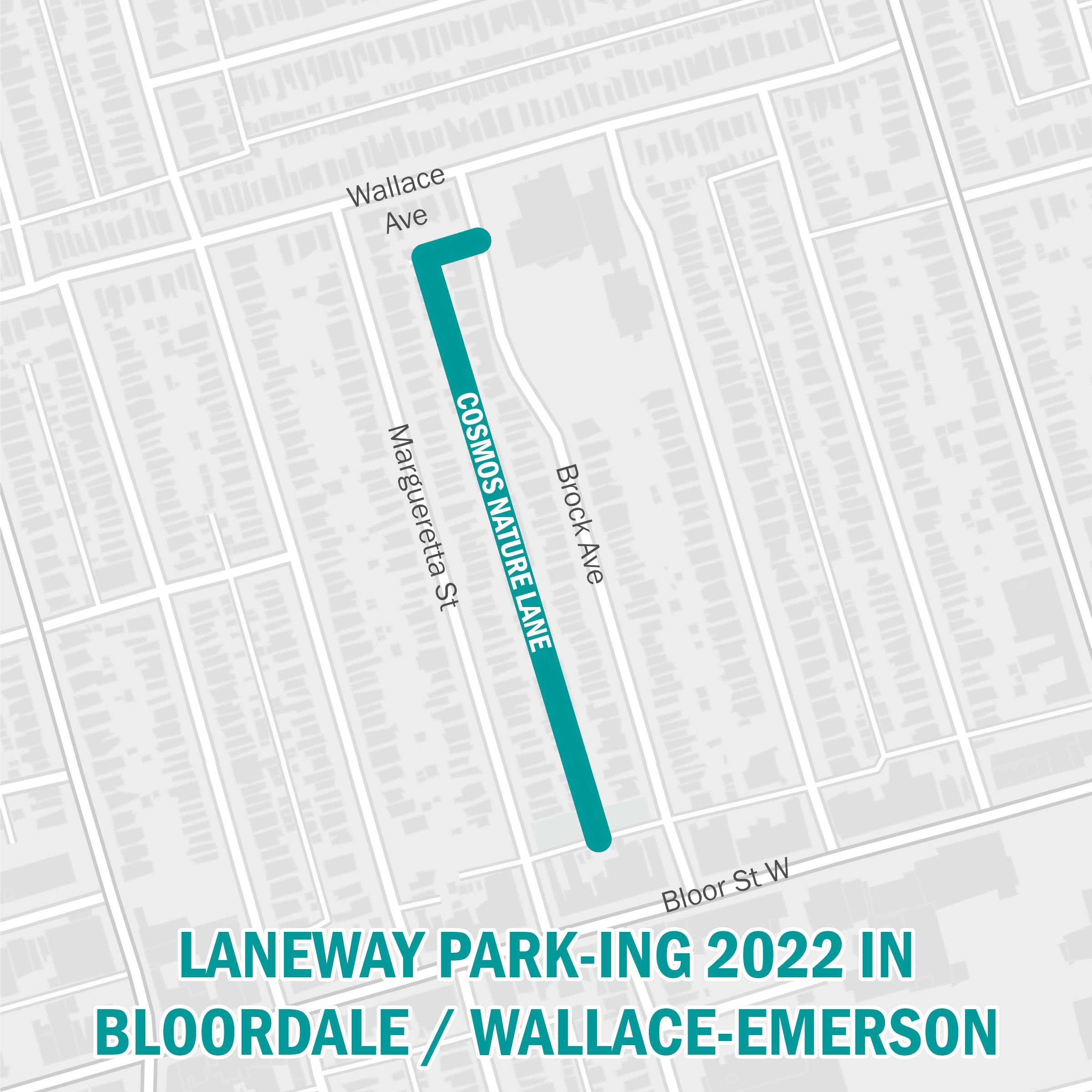 Laneway Park-ing 2022_Cosmos Nature Lane_Line.jpg