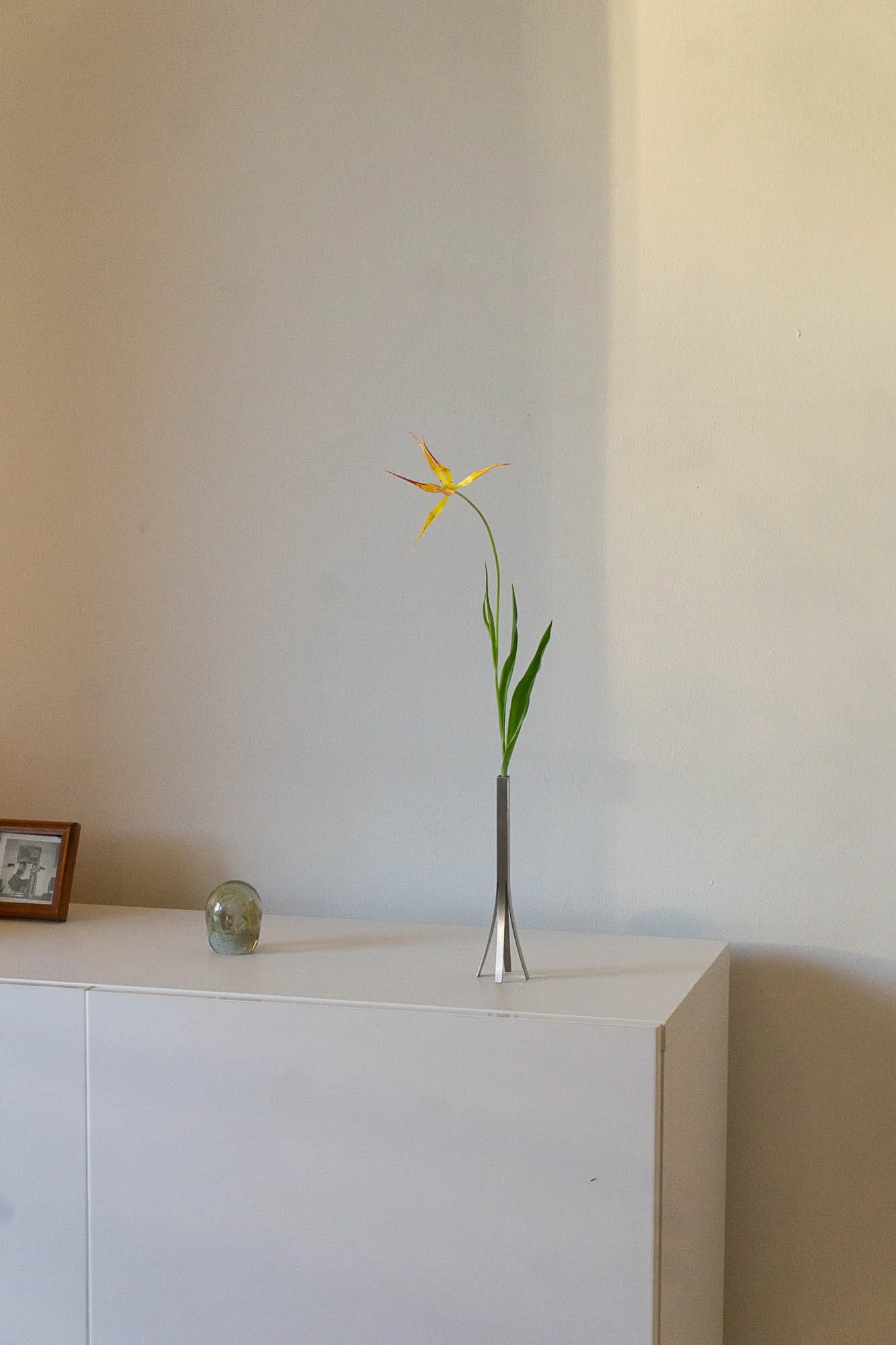 02standingvase2025-05-05 at 9.20.37 PM 3.jpg