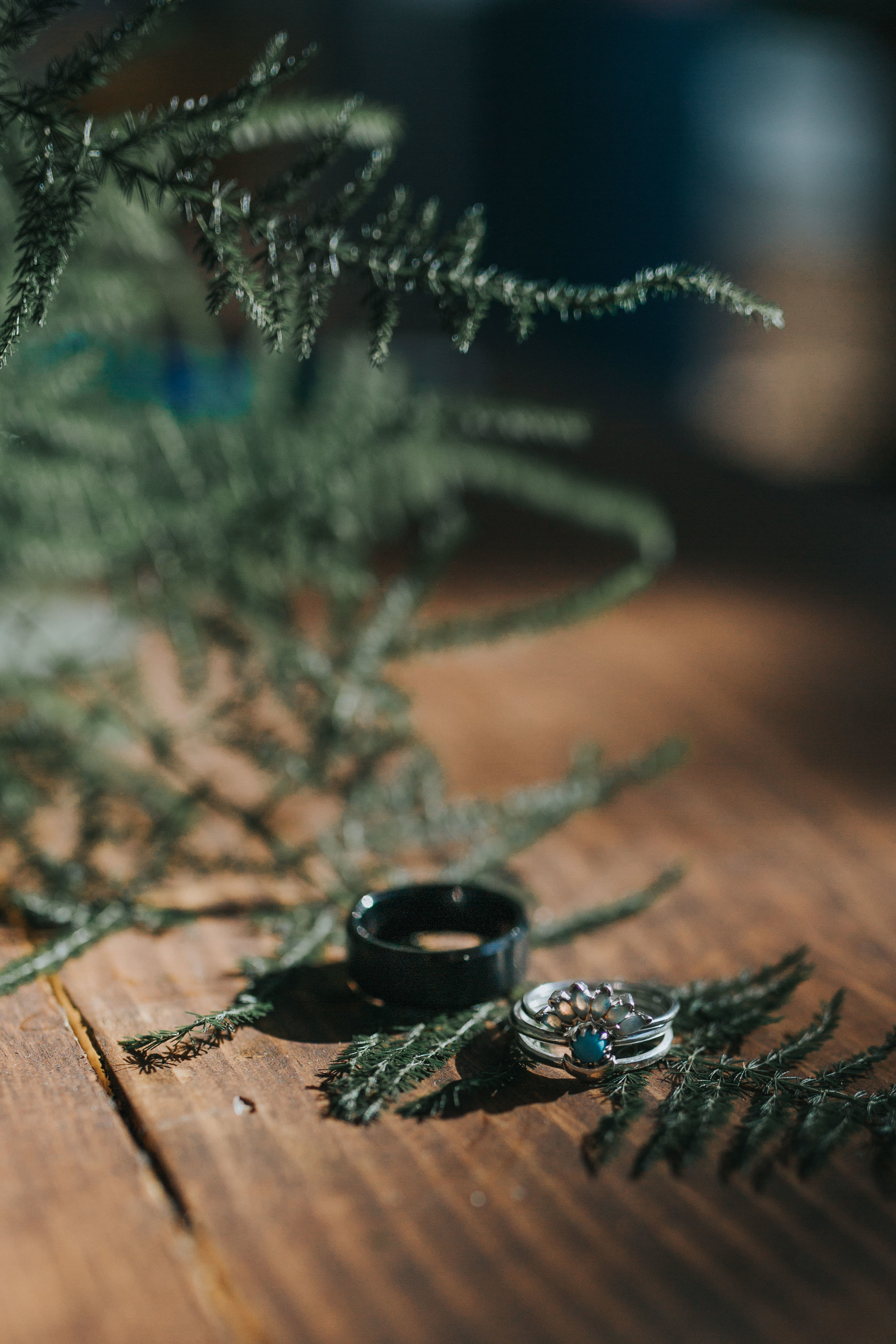 south-lake-tahoe-elopement-valerie-lendvay-photo-050.jpg