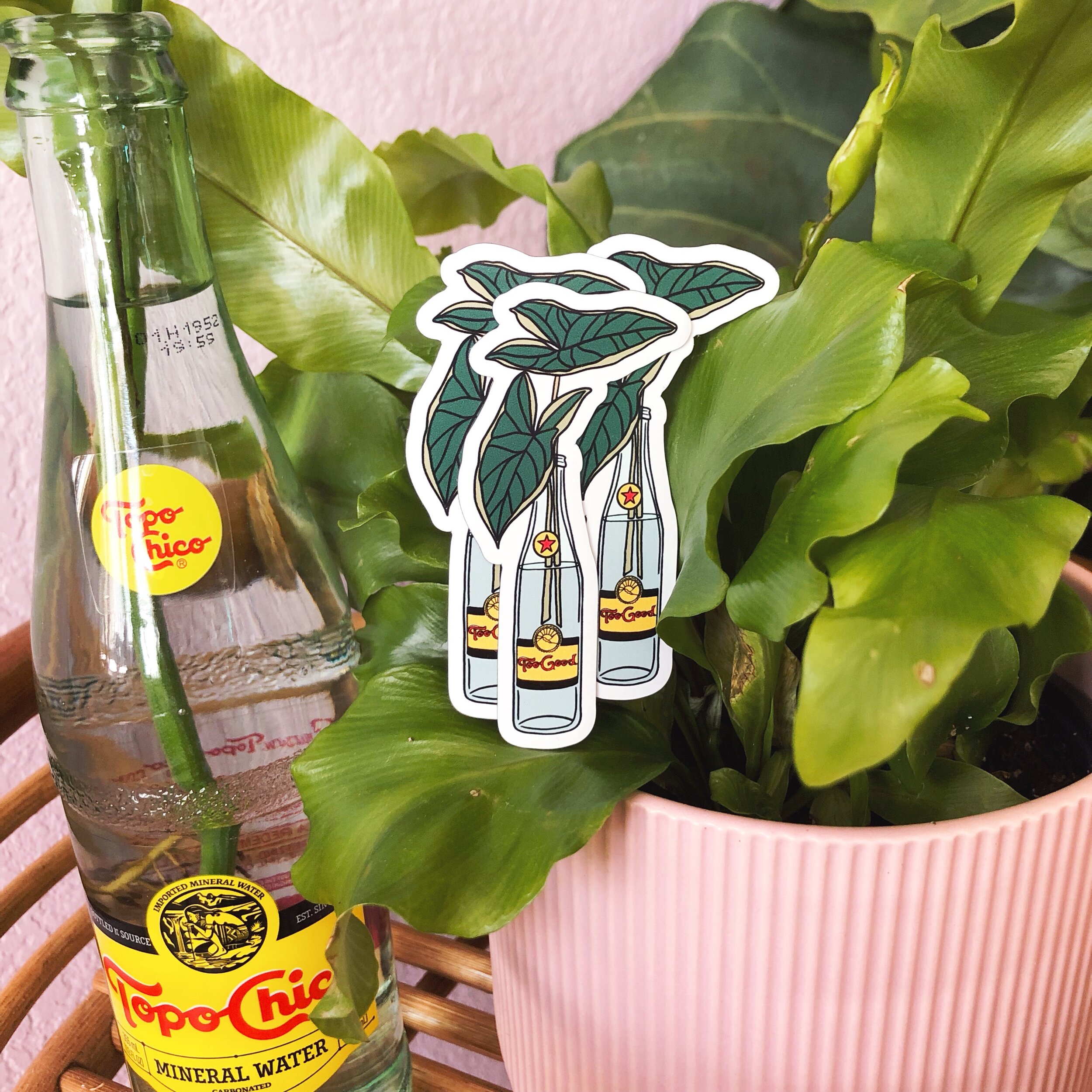 8AC9E2C5-F839-4A33-ADFD-B65D6DAF93E7