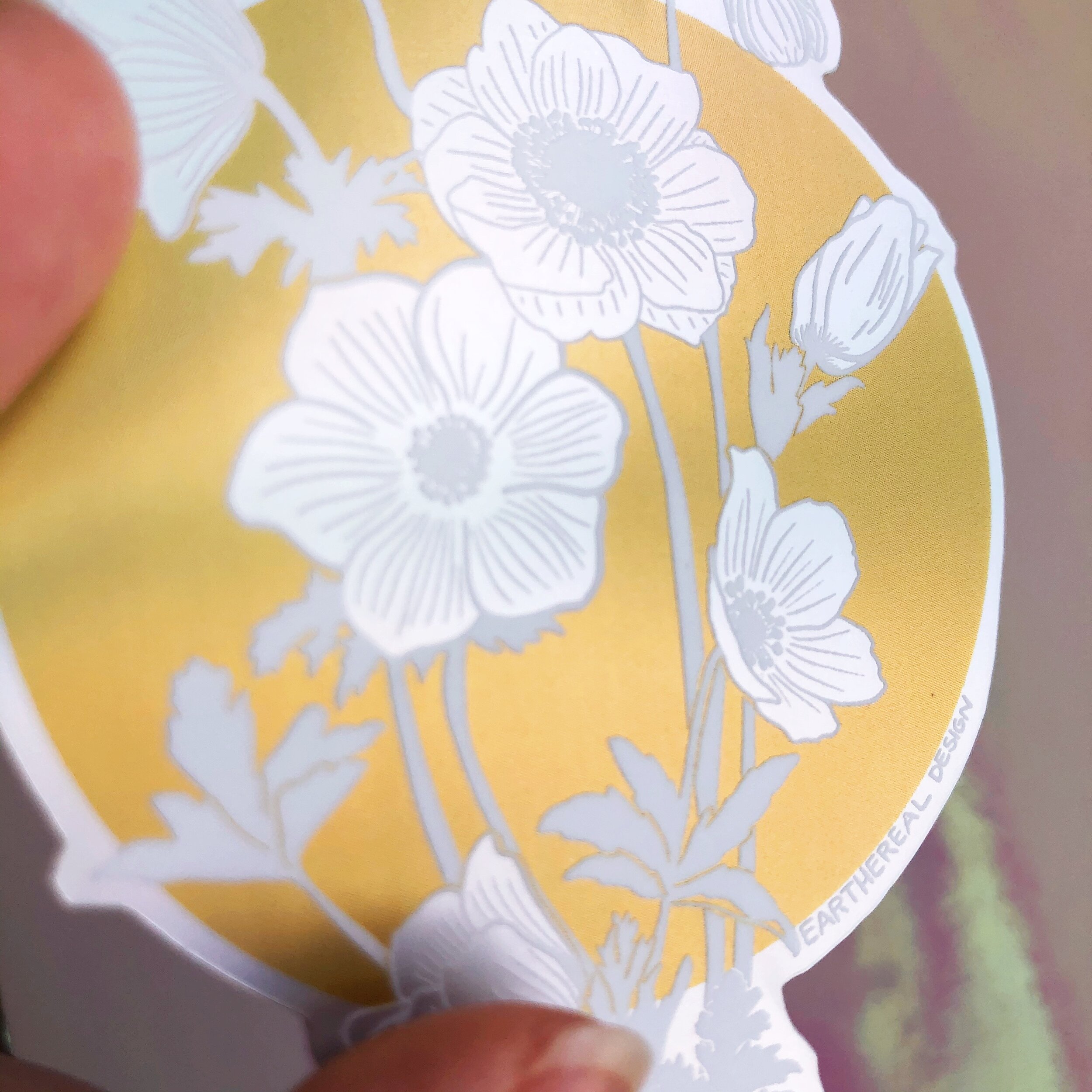 8DEE7748-D9A9-40D7-9A17-6494ABC95025