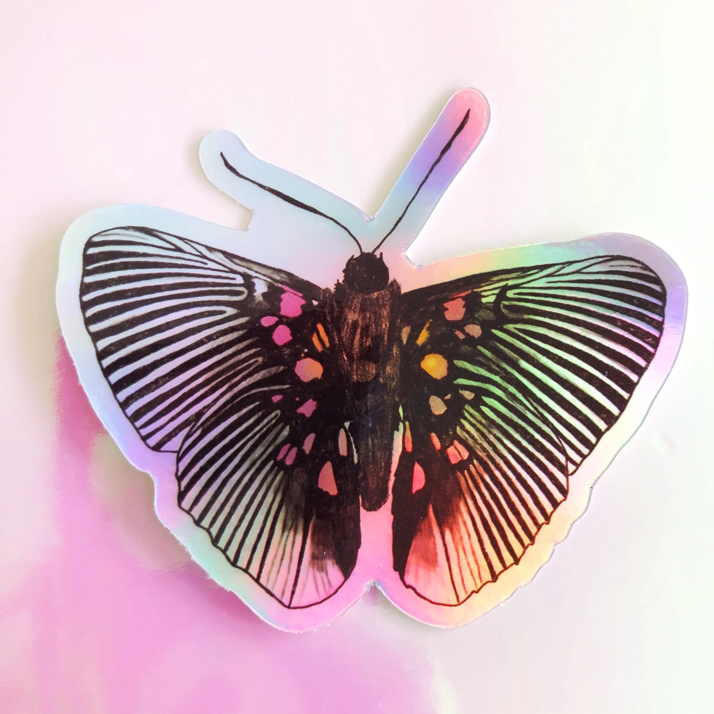 1E06916A-C5A6-4C1F-BA38-23612B26D3E3