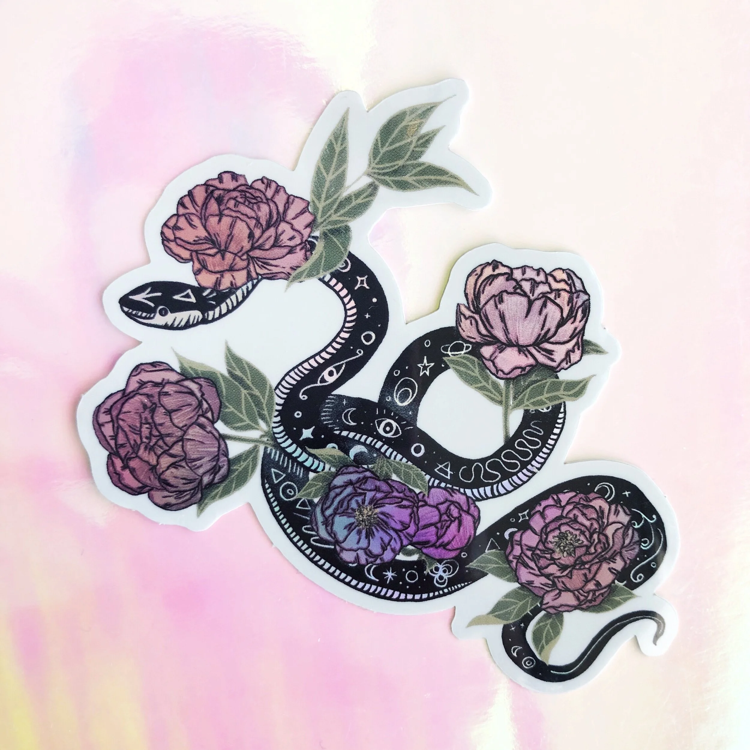 6C703AA4-56C7-4F0E-9CA6-785C0B1518FD