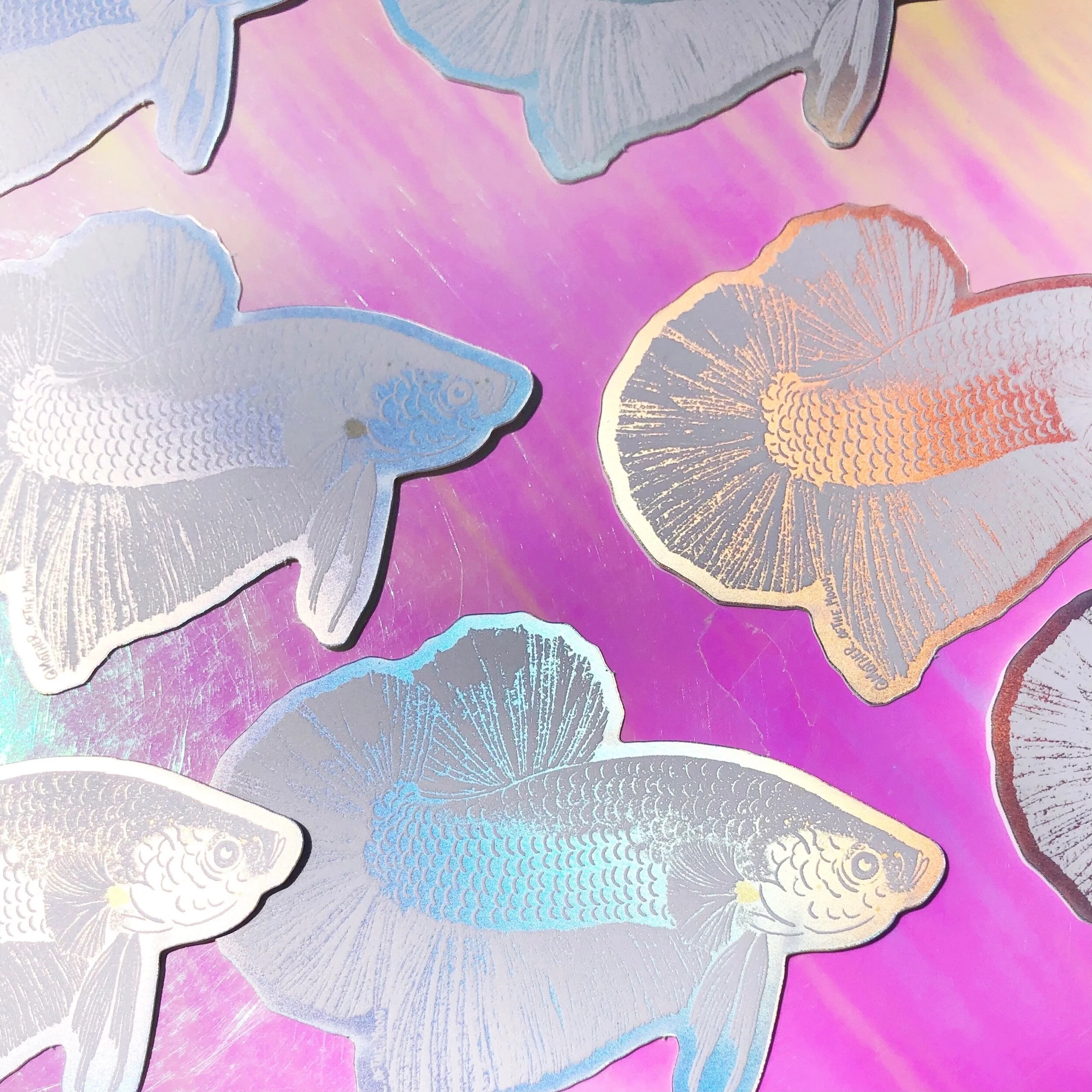 5611E9DE-D9F1-43C4-8D55-5A9613774EDB