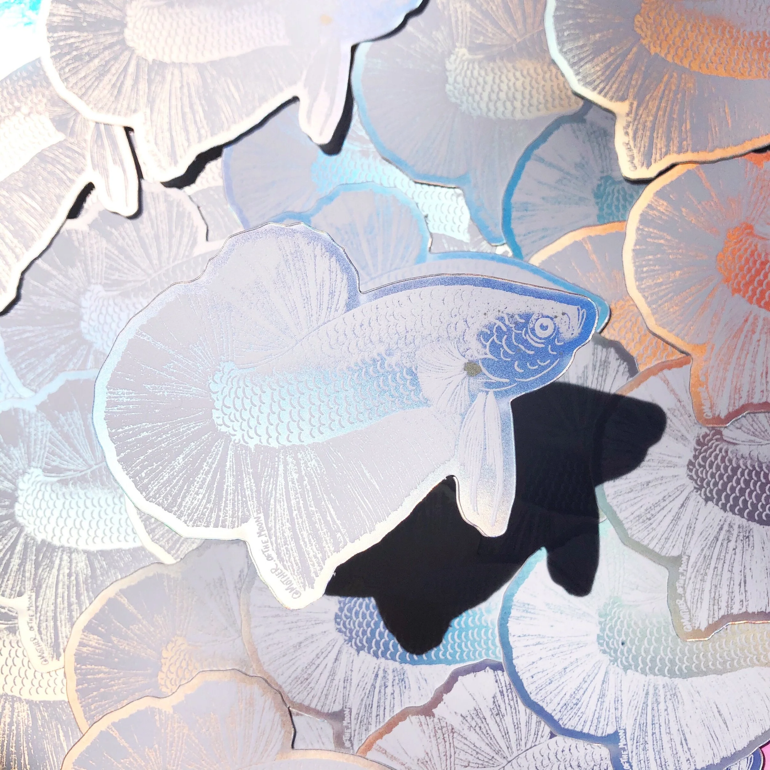 8315A5A4-3A99-4F03-A3B4-AE285201889D