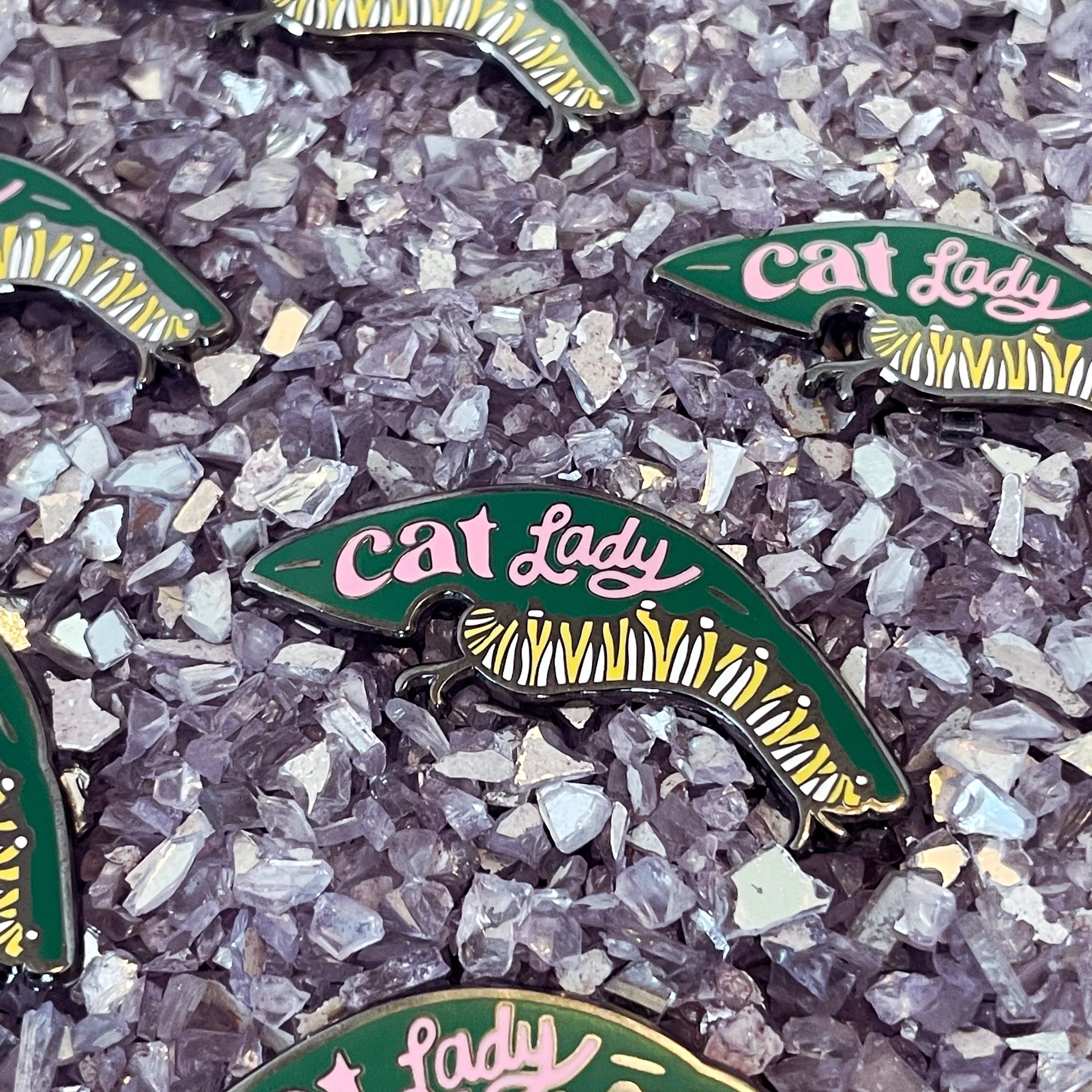 PIN catlady1.JPG