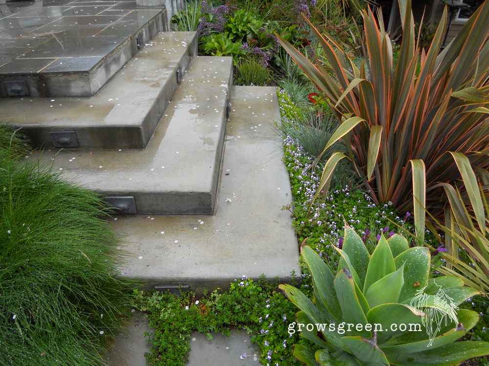 Brown Steps with logo.jpg