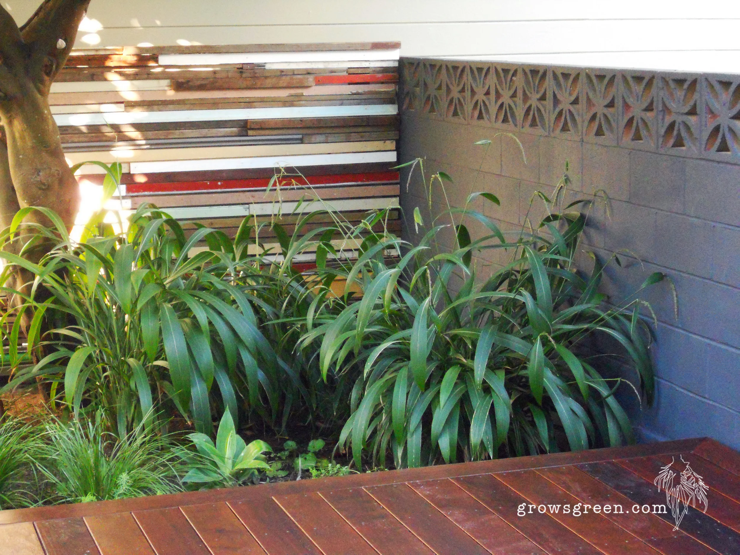 Growsgreen Salvage Wall with logo.jpg