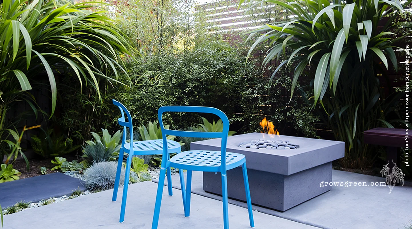 Sunset Magazine Concrete Jungle November 2014