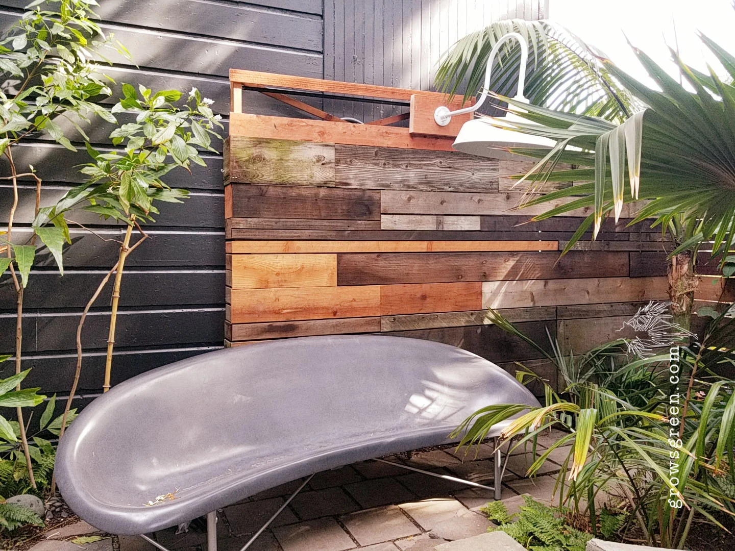 Palm Tree garden revamp