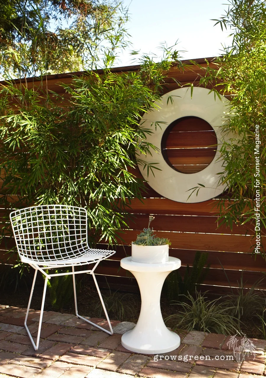 Growsgreen_Design_RI_Fenton_6_LOGO-1.jpg