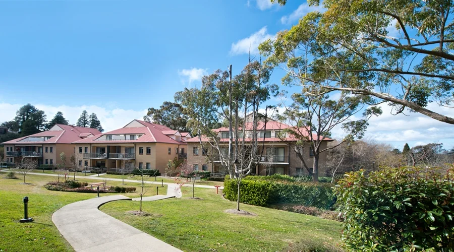 blue mountains 5.jpg