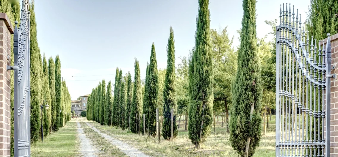 thumb_Screenshot 2017-07-24 09.07.47_1024.jpg