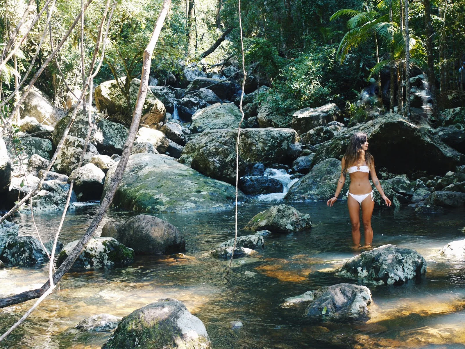 Minyon Falls Walking Track