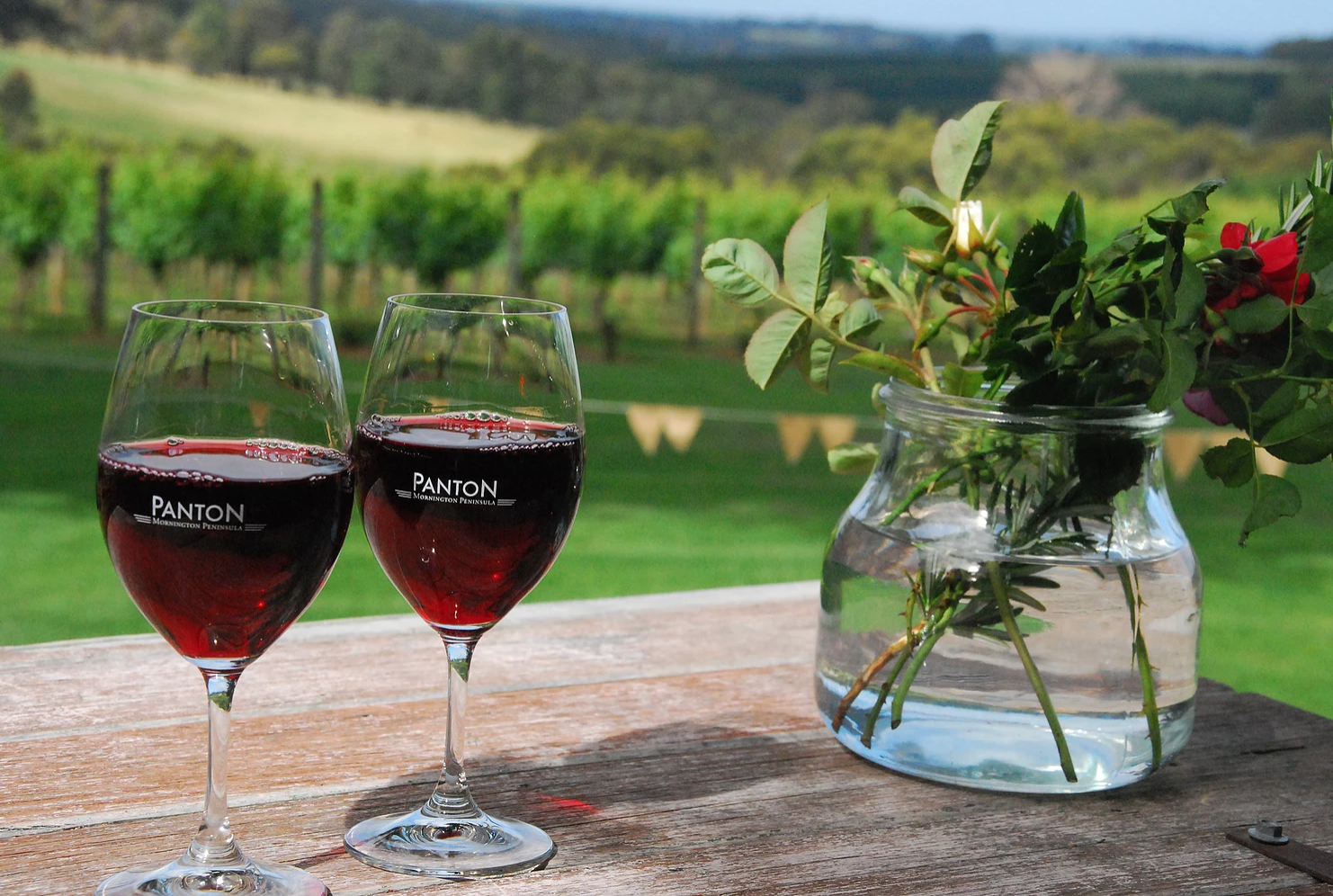 wine tour sorrento.png