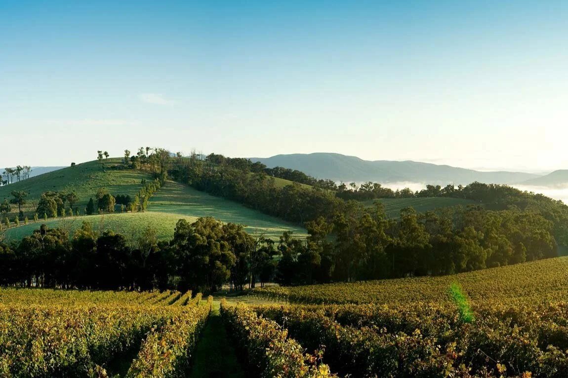 yarra-valley-vista_yvdr_r_1350632_1150x863.jpg